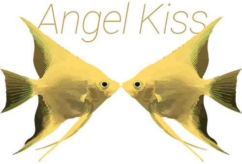 Angel Kiss