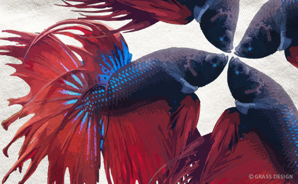 Betta Flower ディティール