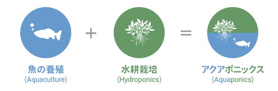 アクアポニックスの説明図