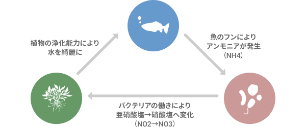 アクアポニックスの仕組み