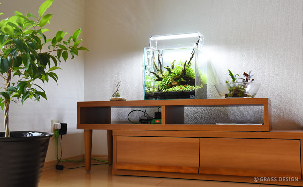 30cmキューブ水槽の台にテレビ台 ローボードを使用できるの Grass Design アクアリウム 水草水槽 熱帯魚の情報