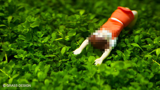 あの大人気のセクシーOLがうちの水槽に舞い降りた件について。