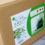 今話題の!?ADAちいさな水辺セットを買ってみた！