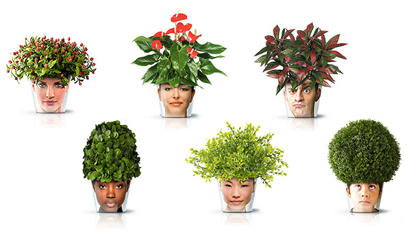 Caras plantadas