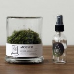 佗び草みたいでオシャレ！苔玉インテリアMOSSER.