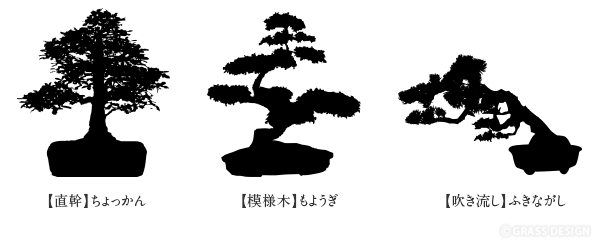 盆栽の樹形