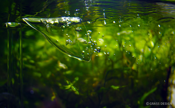 油膜よさらば！ADAリリィパイプでエアレーション！ | GRASS DESIGN | アクアリウム・水草水槽・熱帯魚の情報