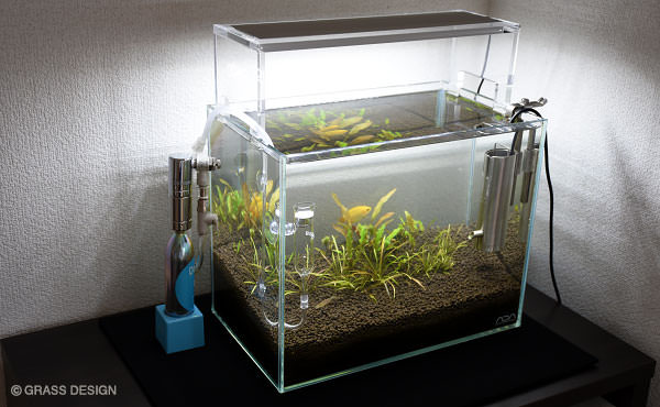 Do Aquaのco2キットは水草水槽におすすめ Grass Design アクアリウム 水草水槽 熱帯魚の情報