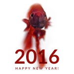 2016 新年あけましておめでとうございます！