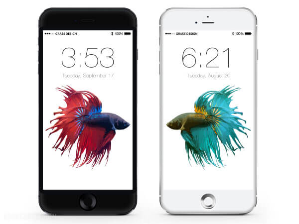 Iphone6sの壁紙は金魚が泳ぎまわる 画像がリーク アクアリウム 水草水槽 熱帯魚の情報 Grass Design