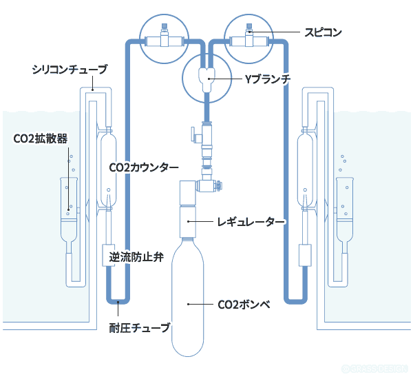 CO2添加　分岐方法