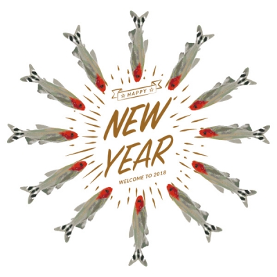 明けましておめでとうございます2018