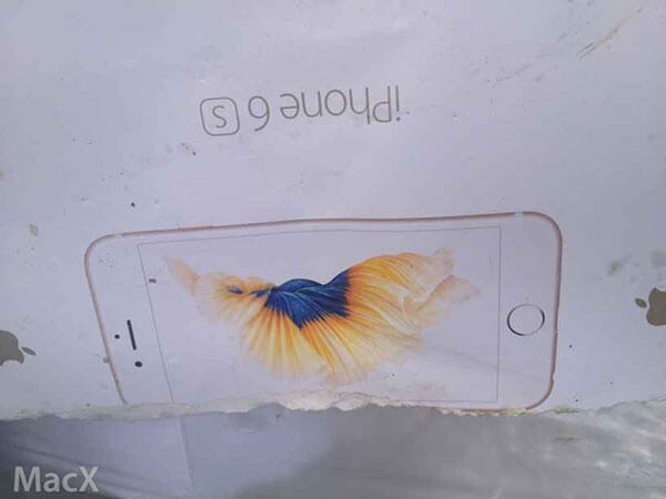 Iphone6sの壁紙は金魚が泳ぎまわる 画像がリーク アクアリウム 水草水槽 熱帯魚の情報 Grass Design