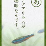 新企画！アクアリウムあるあるネタでつくる「あくあかるた」