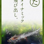 今年こそは完成させる！あくあかるた「た行」