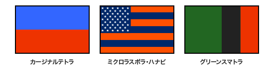 FlagDesignサンプル